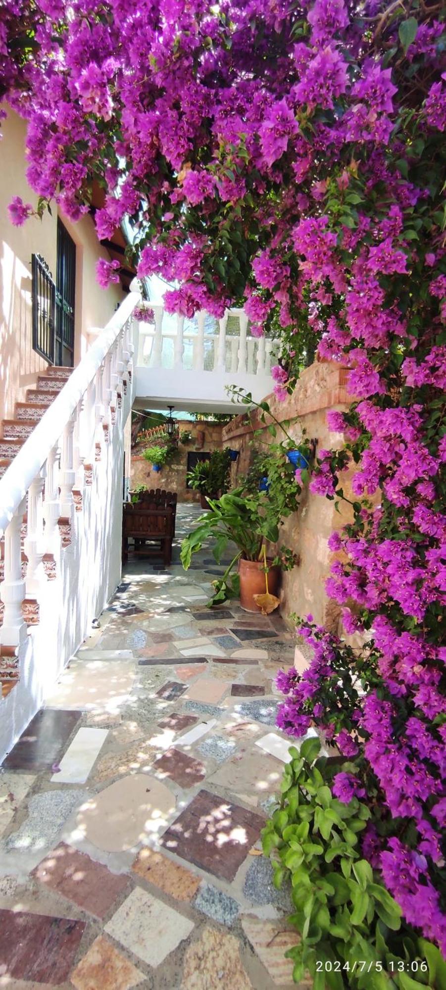 Cortijo De Las Flores Cazorla La Iruela Extérieur photo